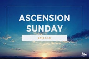 ascension_3_w496