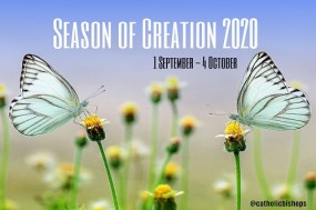 season-of-creation-butterfly_w498