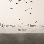 My words will not pass away