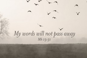 My words will not pass away