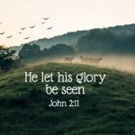 He let his glory be seen