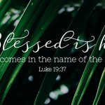 Blesses is he who comes in the name the Lord