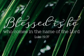 Blesses is he who comes in the name the Lord