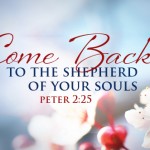 Come back to the Shepherd of your Souls